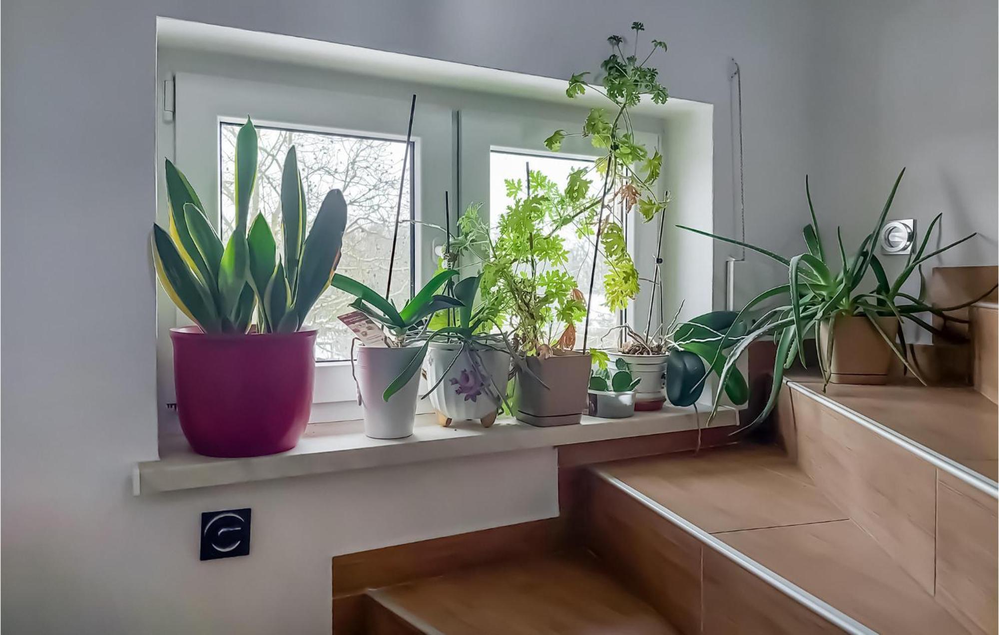 Beautiful Apartment In Moryn With Kitchen Εξωτερικό φωτογραφία